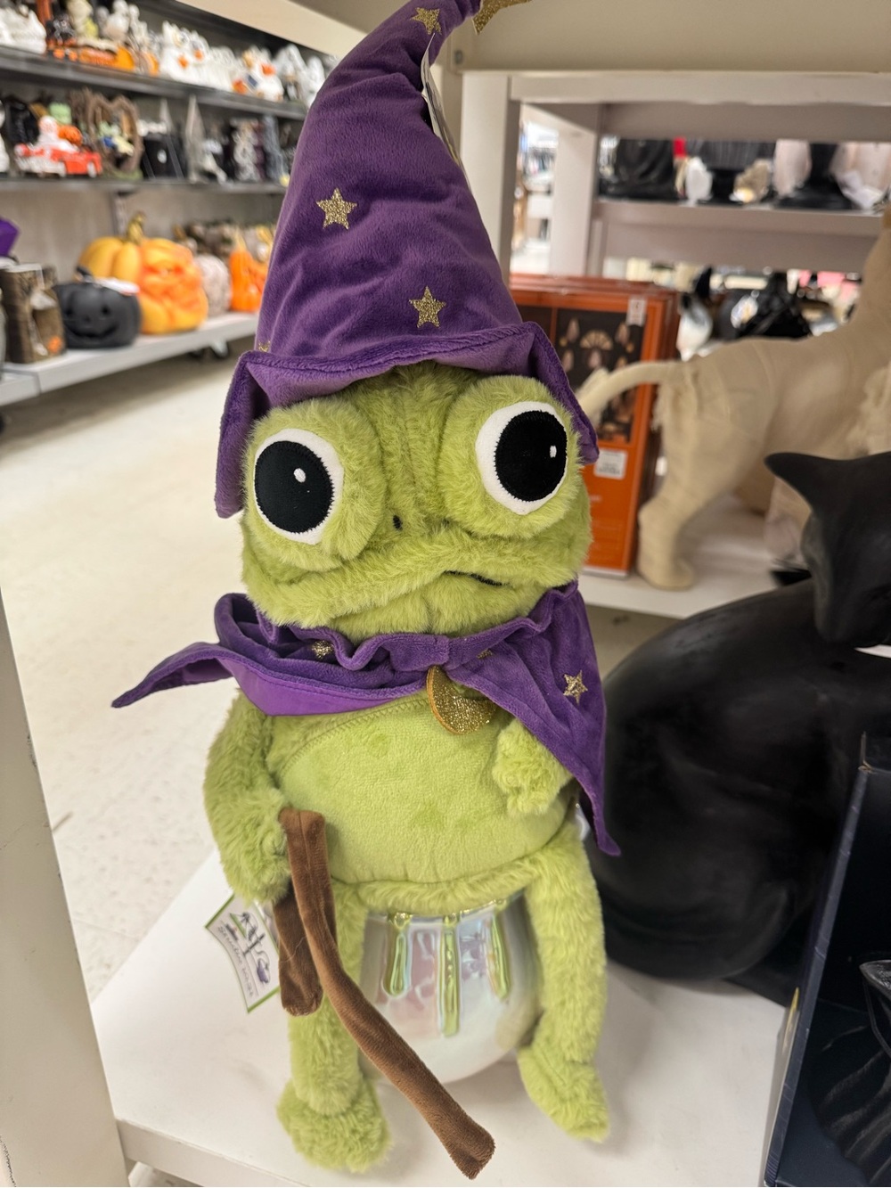 Moonlight manor viral Green Wizard Frog Plush Hat and Cape